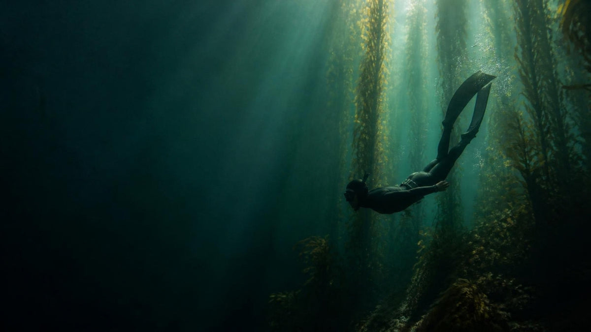 Freediver gliding through a kelp forest